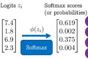 Softmax Score für Bild Klassifizierung